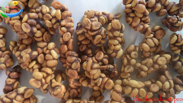 Cà Phê Chồn Đà Lạt