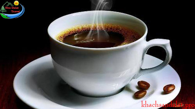 Cà Phê Chồn Đà Lạt
