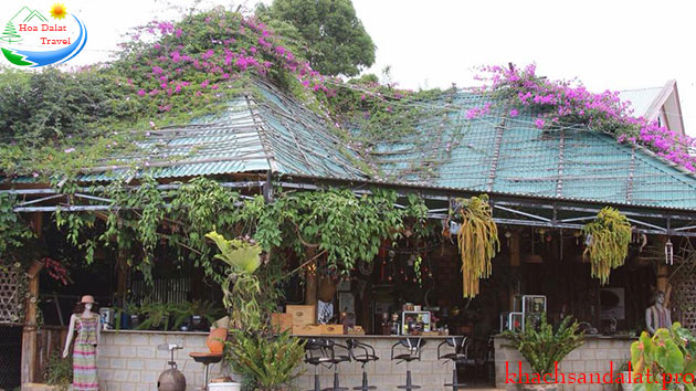 Cà Phê Chồn Đà Lạt