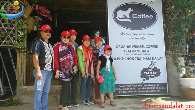 Cà Phê Chồn Đà Lạt