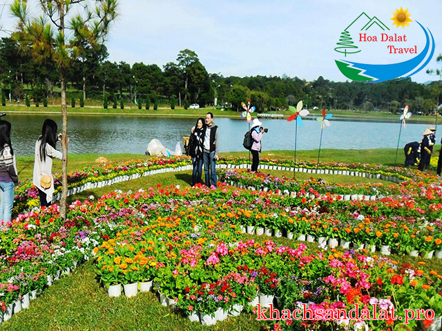 Du lịch Đà Lạt có gì thú vị?