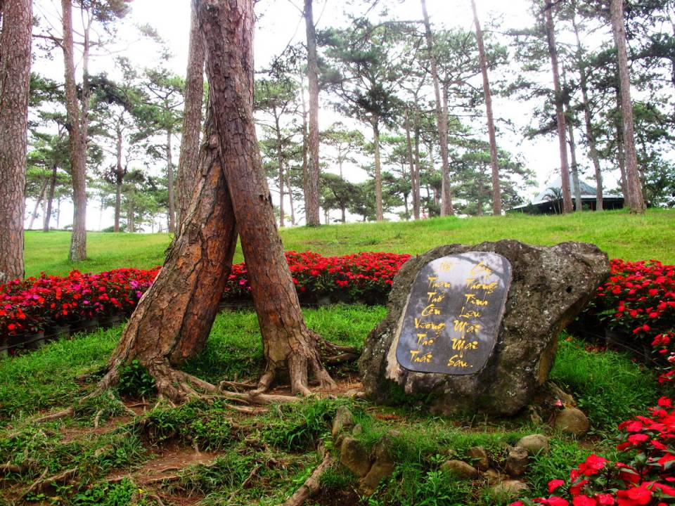 hình ảnh hồ than thở Đà Lạt