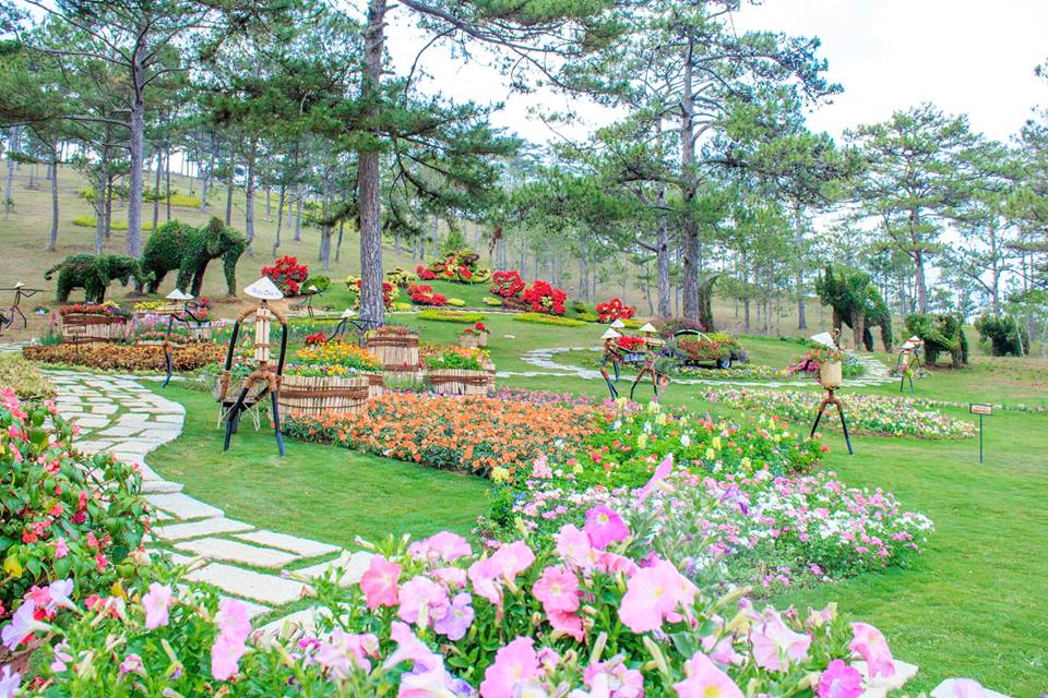 Hướng dẫn lịch trình chi tiết tham quan Đà Lạt 1 ngày