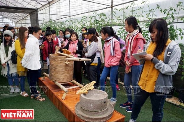Không gian lãng mạn trong Green Box.