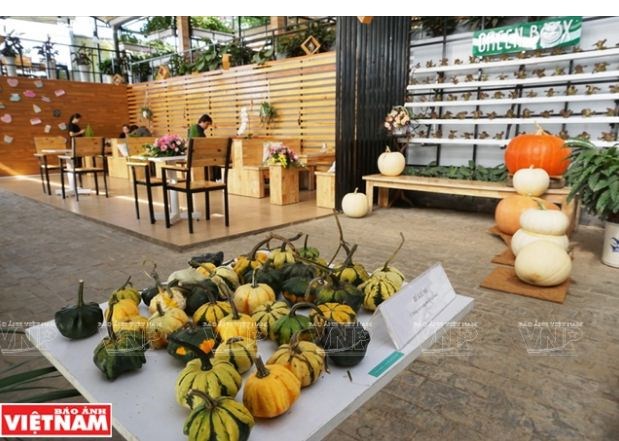 Du lịch nông nghiệp trải nghiệm mới ở Đà Lạt " Chiếc Hộp Xanh"