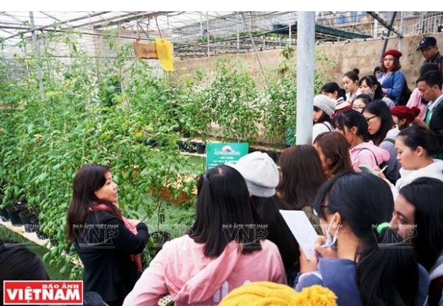 Không gian lãng mạn trong Green Box.