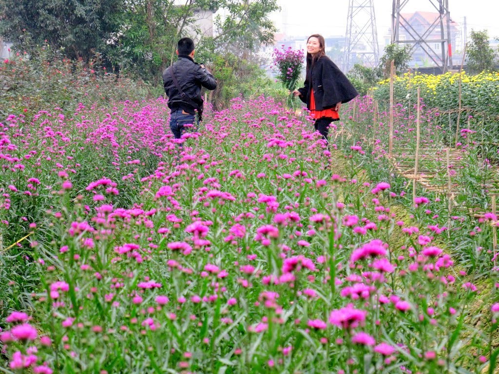 Tour du lịch 1 ngày ở Đà Lạt