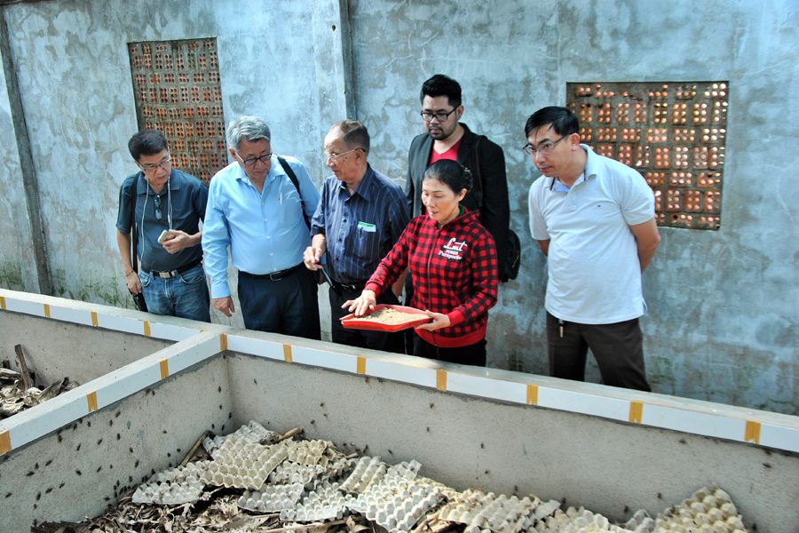 Tour du lịch Đà Lạt 1 ngày giá rẻ