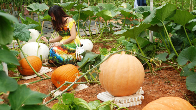 tour tham quan sở thú zoodoo đà lạt
