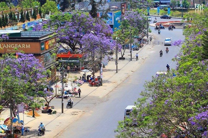 du lịch đà lạt tháng 3 2018