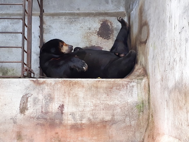 thác prenn đà lạt giá vé