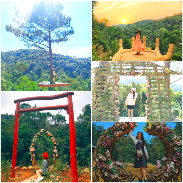 tour dalat 1 ngày