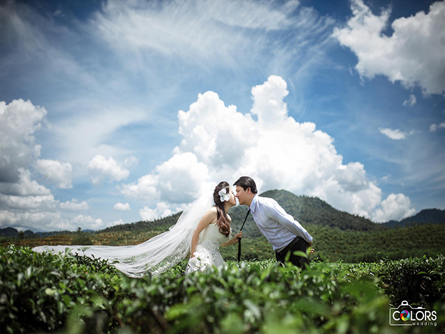 chụp ảnh cưới ở đồi chè cầu đất