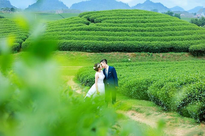 giá vé đồi chè cầu đất đà lạt