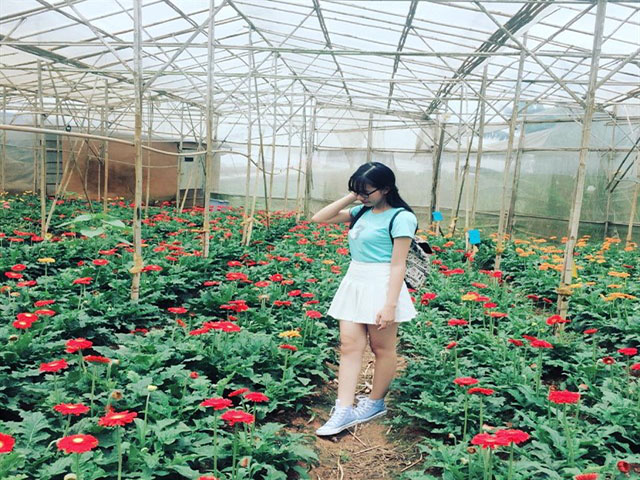 Làng hoa Vạn Thành Đà Lạt