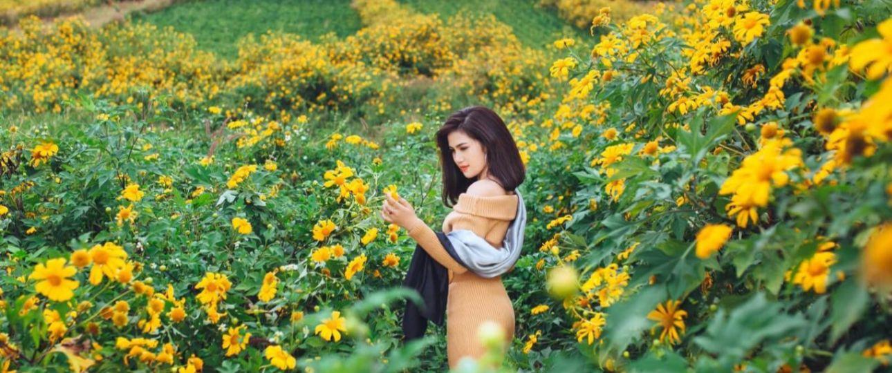 Tháng 10 có nên đi Đà Lạt hay không?