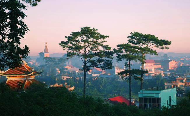 Tháng 10 Đà Lạt có hoa gì