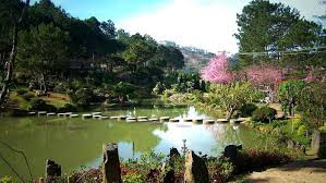 ăn gì ở thung lũng vàng
