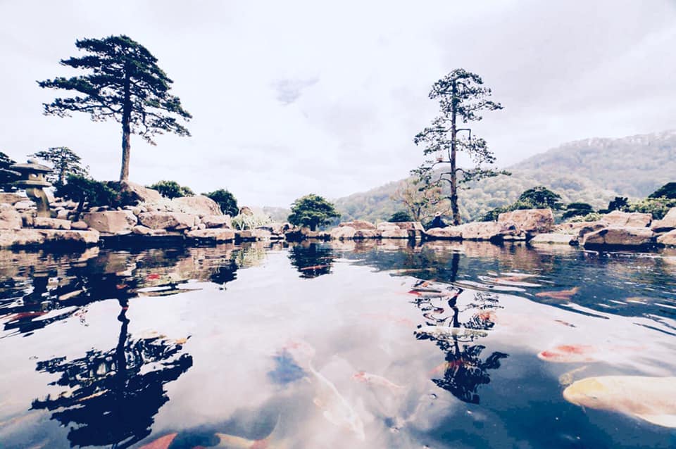ảnh chụp ở Que Garden Đà Lạt