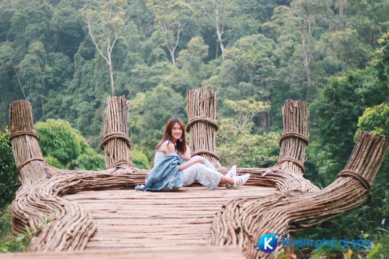ảnh hoa sơn điền trang Đà Lạt