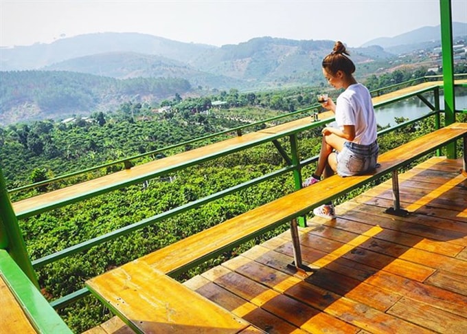 cà phê Mê Linh và trang trại chồn