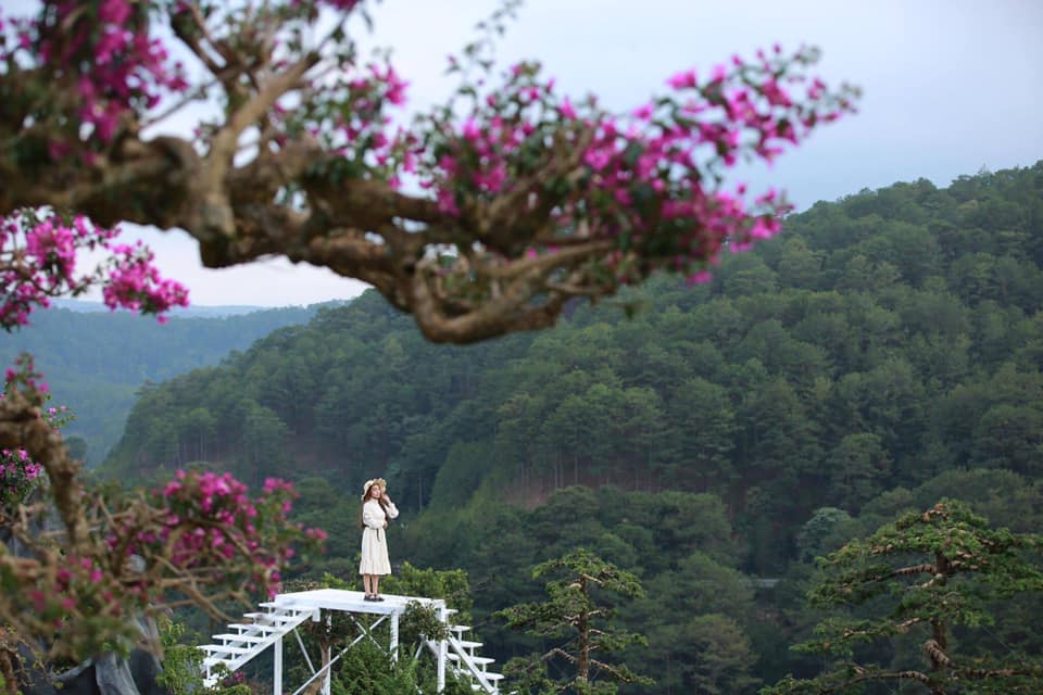 Chụp ảnh ở Que Garden Đà Lạt