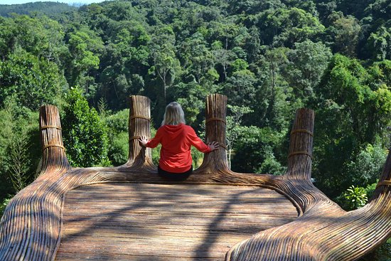 Đường đi hoa sơn điền trang Đà lạt