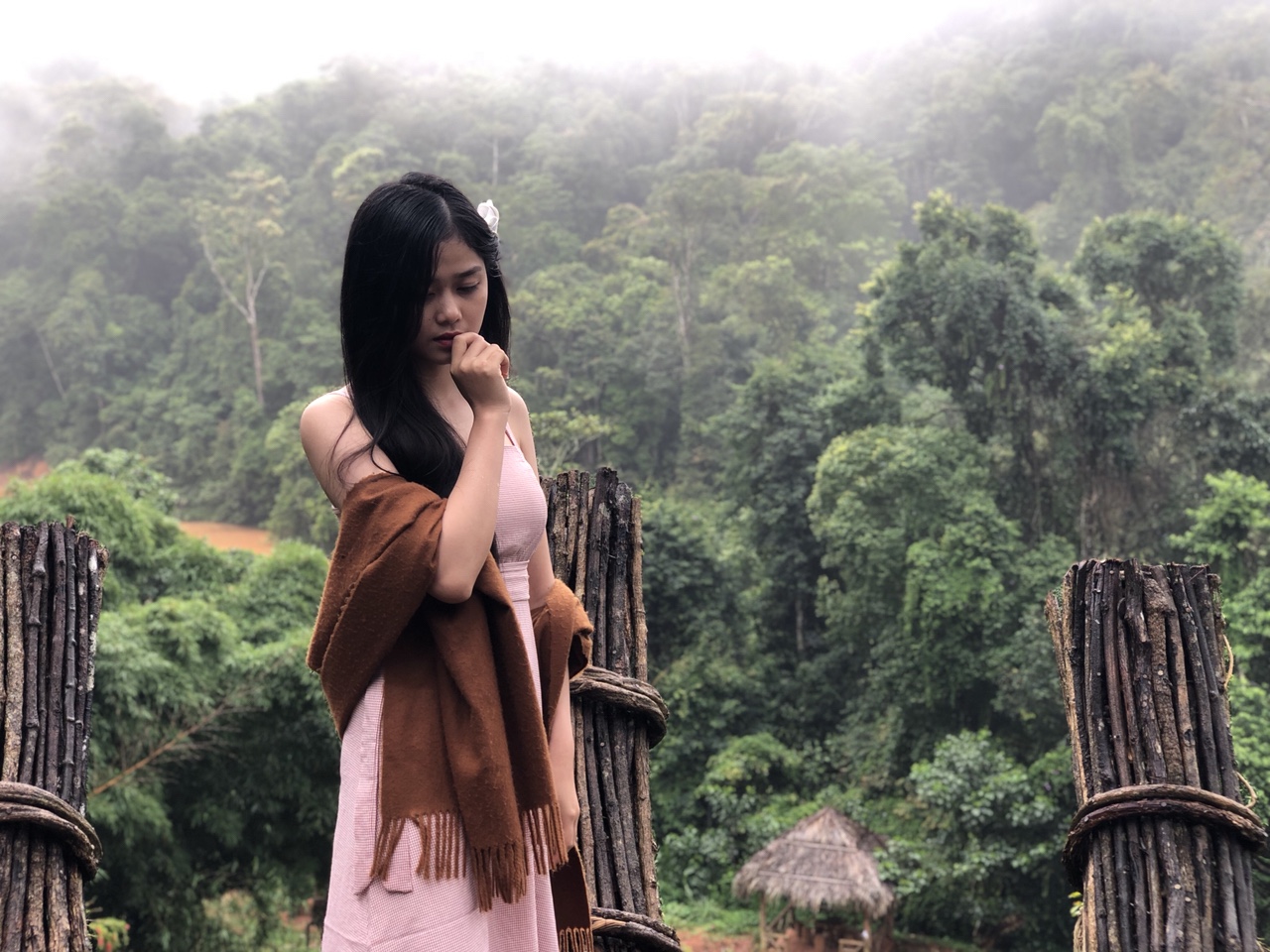 Hình ảnh hoa sơn điền trang Đà lạt