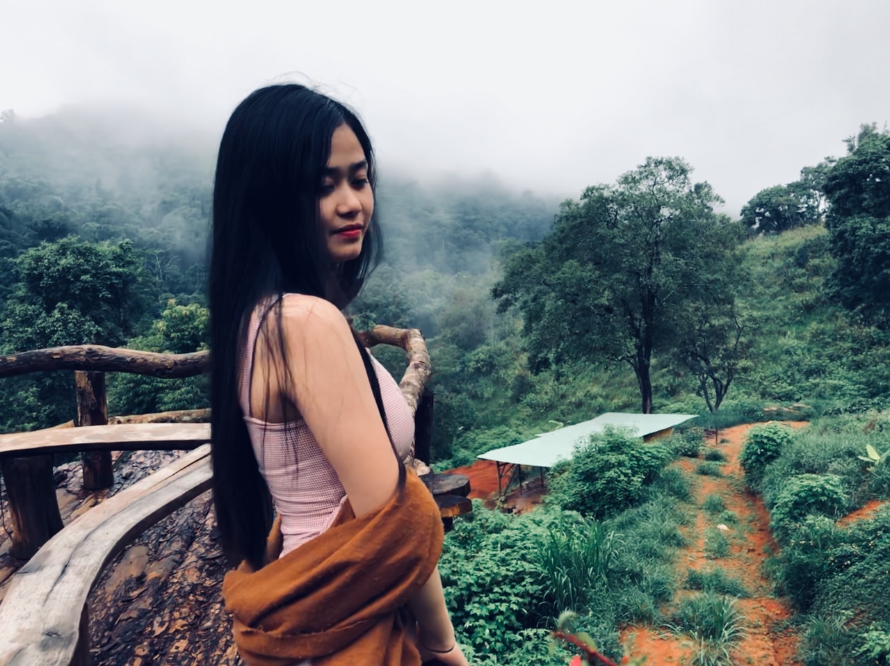 Hình ảnh hoa sơn điền trang Đà lạt