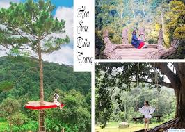 Hoa Sơn Điền Trang