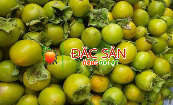 Hồng giòn Đà Lạt