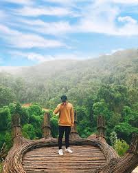 Làng sương sớm hoa sơn điền trang Đà lạt
