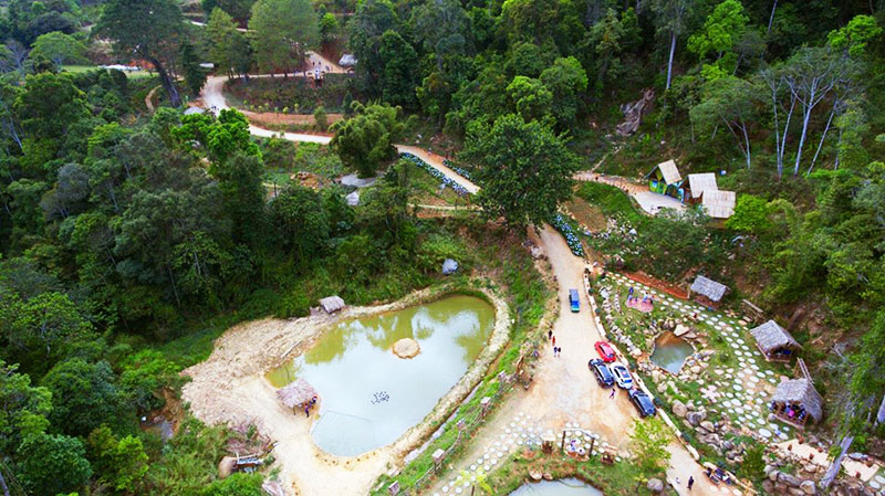 Tham quan hoa sơn điền trang Đà Lạt