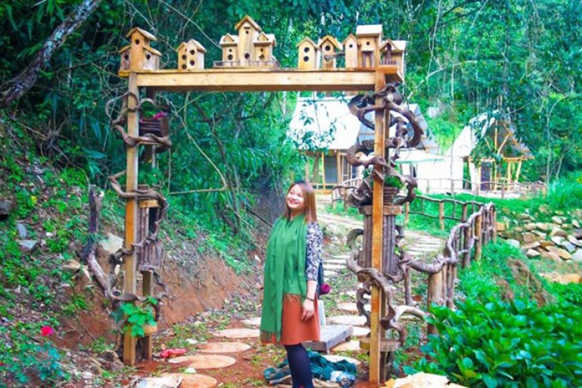 Tham quan khung cảnh hoa sơn điền trang Đà Lạt
