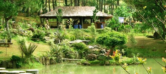 tour thung lũng vàng