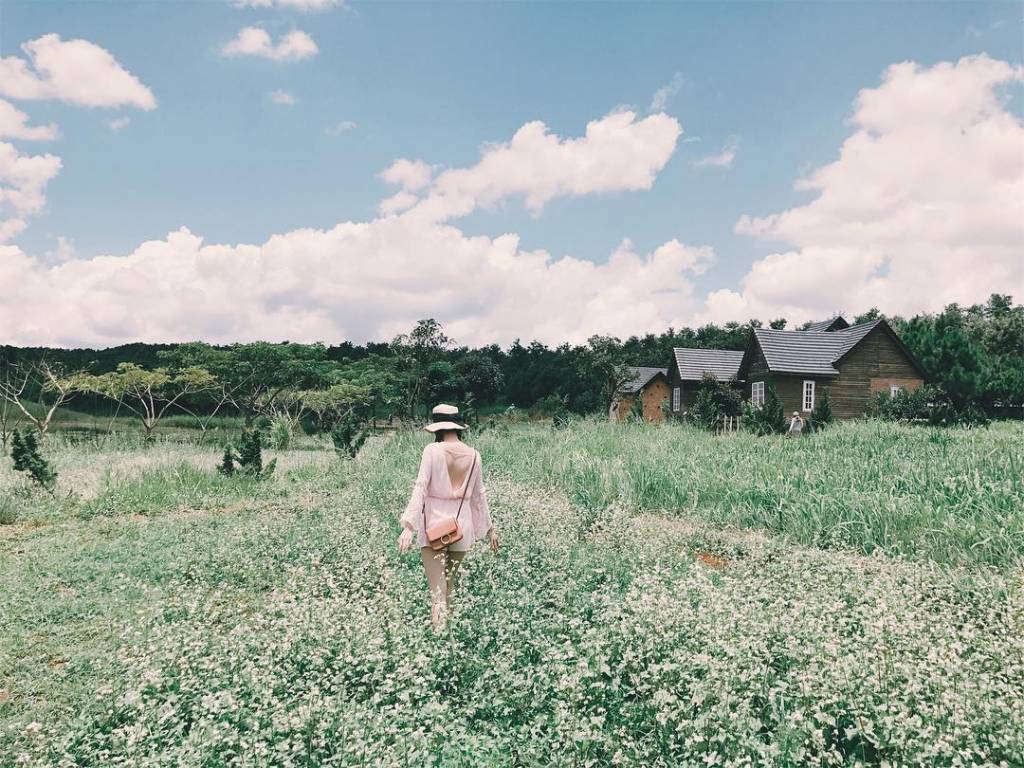 Đà Lạt Milk Ở Đà Lạt
