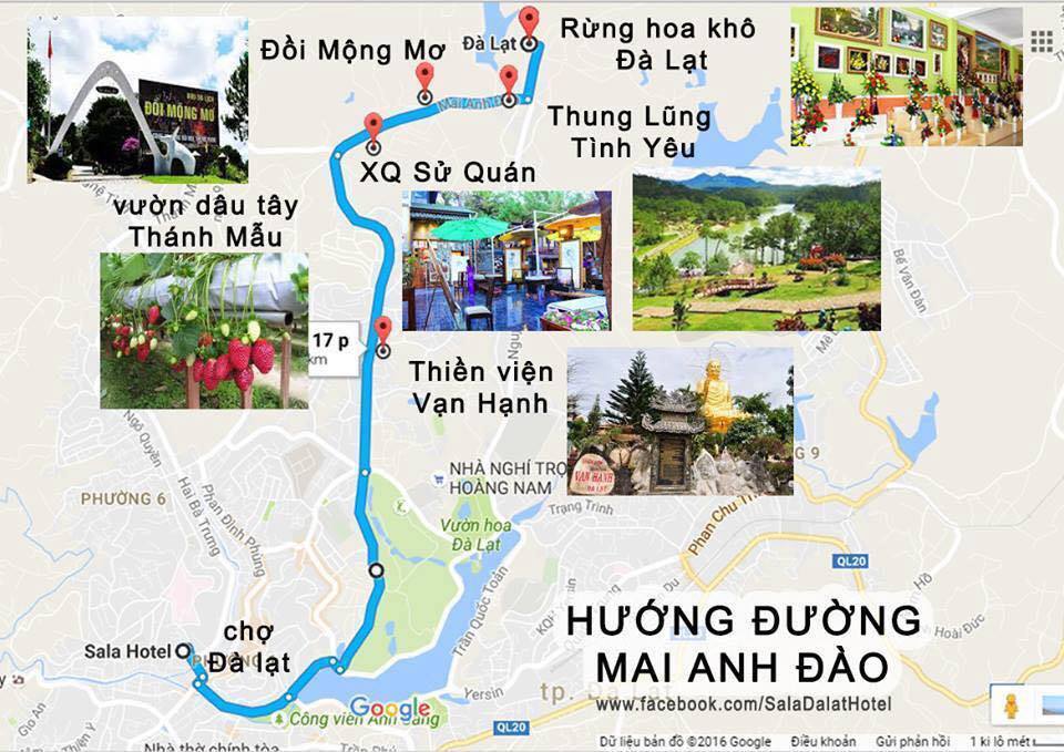 đường di rừng hoa Đà Lạt