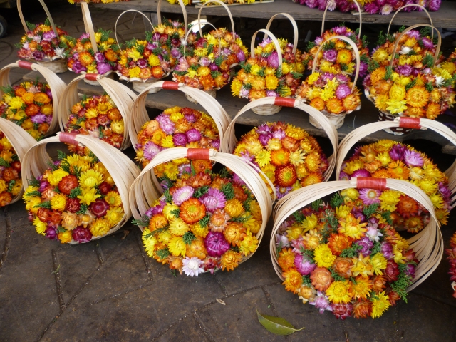 rừng hoa Đà Lạt giá vé