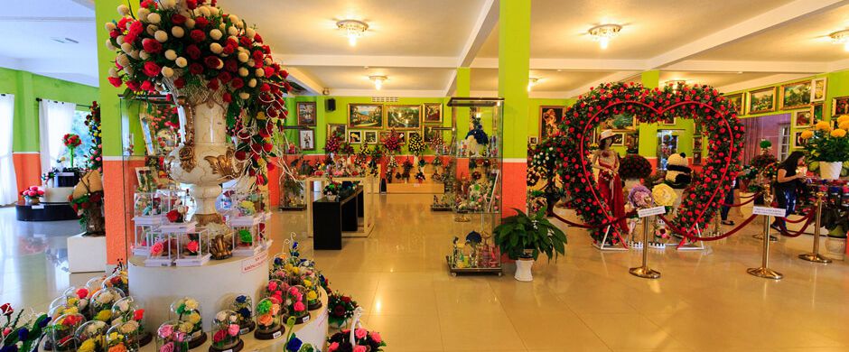 rừng hoa Đà Lạt Mai Anh Đào