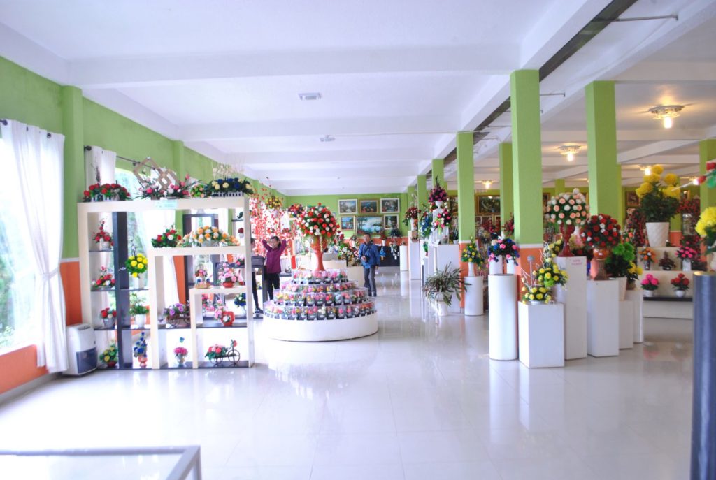 showroom kho khô - -rừng hoa khô Đà Lạt