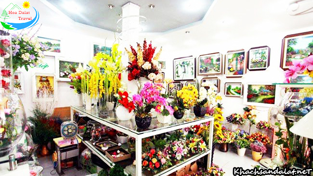 siêu thị rừng hoa khô