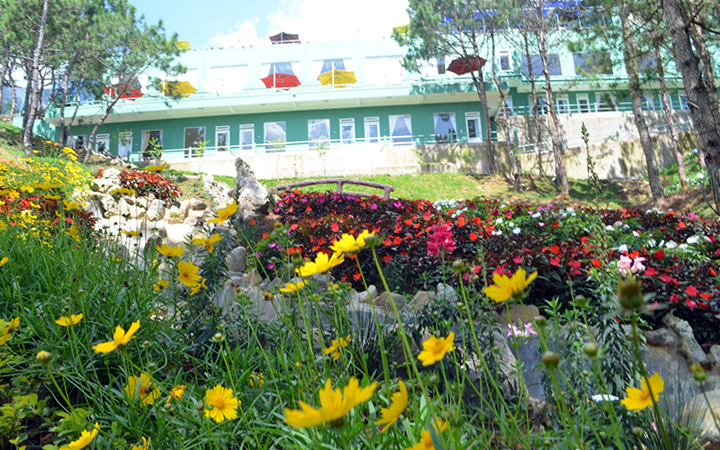 tour rừng hoa Đà Lạt
