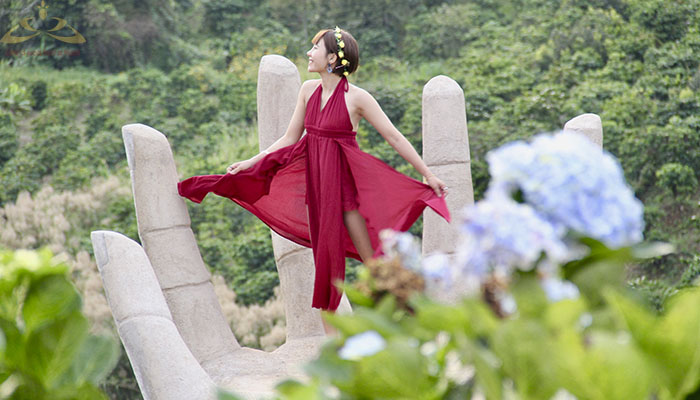 có nên đi Dalaland Đà Lạt hay không