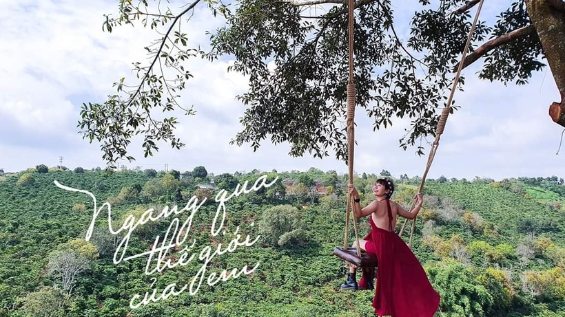 Dalaland Đà Lạt
