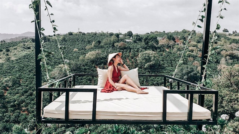 tiểu canh Bali ở ở Việt Nam