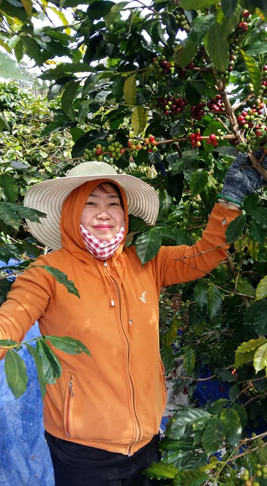 trải nghiệm cuộc sống của Đà Lạt ở HT Farmstay Đà Lạt