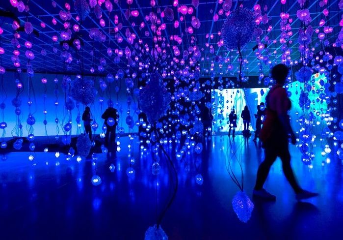 có nên đi vườn ánh sáng Đà Lạt hay không