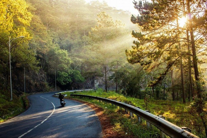 Đèo Mimosa Đà Lạt