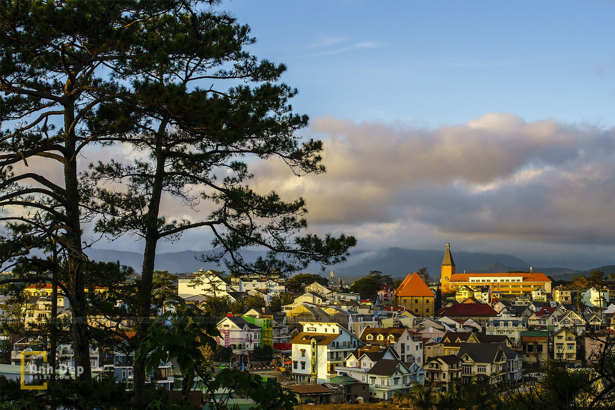 Du lịch Đà Lạt tháng 1