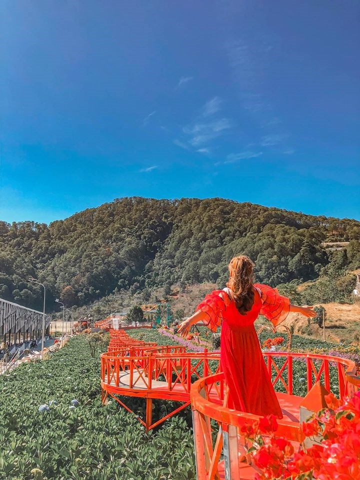cầu nối trên hoa